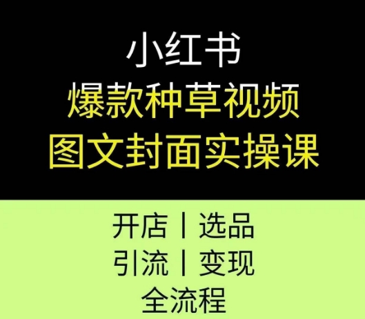 小红书爆款种草视频图文封面实操课，开店、选品、引流、变现全流程-资源V站