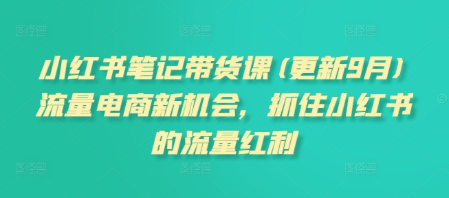 小红书笔记带货课(更新25年4月)流量电商新机会，抓住小红书的流量红利-资源V站