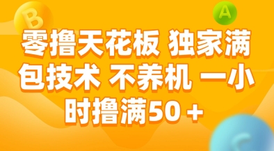 零撸天花板，独家满包技术，不用养机，一小时撸满50+，收益稳定【揭秘】-资源V站