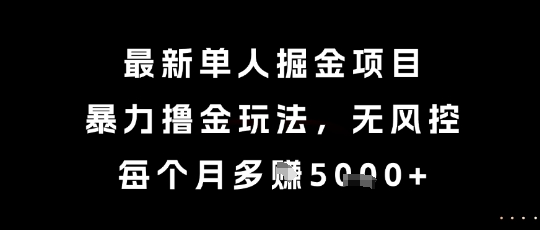 最新单人掘金项目，暴力撸金玩法，无风控，每个月多挣5k+【揭秘】-资源V站