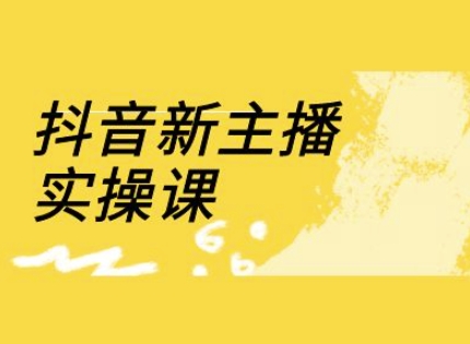 抖音新主播实操课，直播间流量运营线上实操课(18节)-资源V站