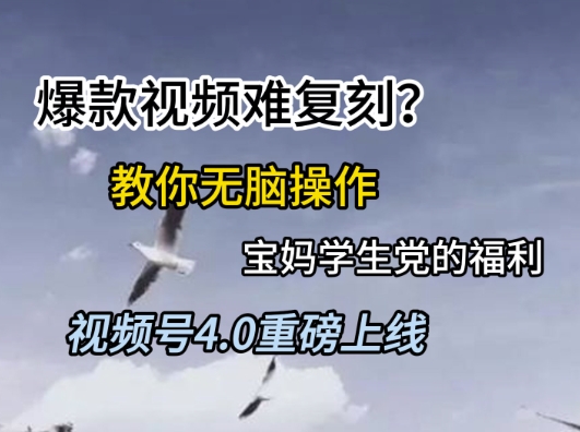 视频号4.0重磅上线，爆款视频难复刻？教你无脑操作宝妈学生党的福利【揭秘】-资源V站