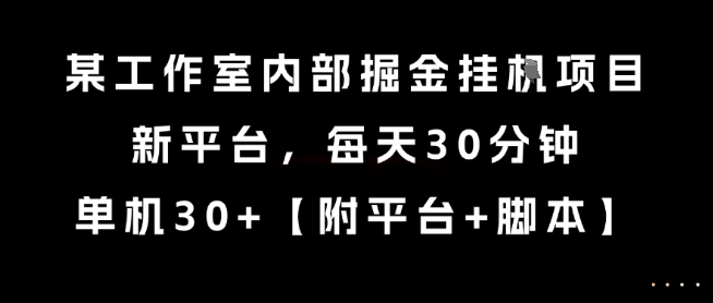 某工作室内部掘金挂G项目，新平台，每天30分钟，单机30+【揭秘】-资源V站