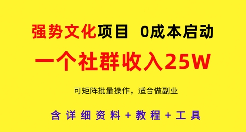强势文化项目，一个社群收入25个W，0成本启动，可矩阵批量操作，原创详细实操教程-资源V站