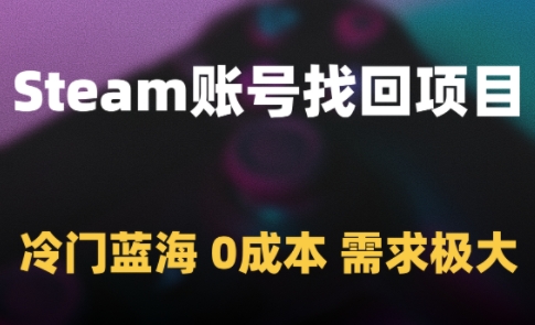 Steam账号找回项目，冷门蓝海，0成本，需求极大-资源V站