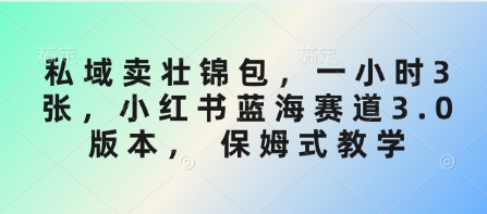 私域卖壮锦包，一小时3张，小红书蓝海赛道3.0版本， 保姆式教学-资源V站