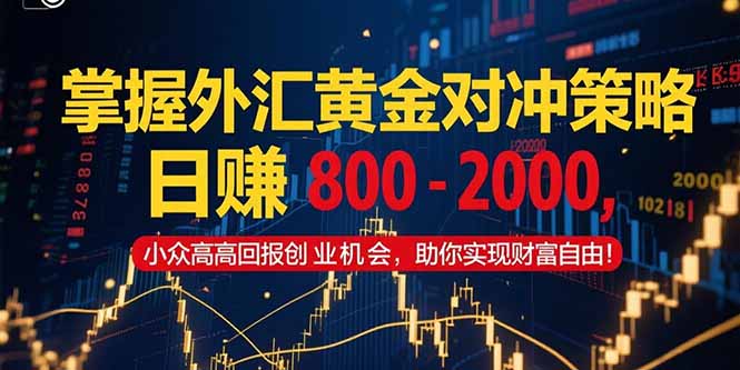 掌握外汇黄金对冲策略，日赚 800 – 2000，小众高回报创业机会，助你实…-资源V站