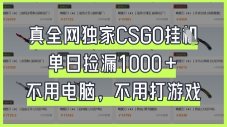 真全网独家CSGO挂G，单日捡漏1k+【揭秘】-资源V站