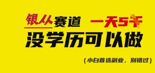 靠银从证书，日入多张，会截图就能做，直接抄答案(附：银从合集)-资源V站