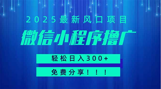 微信小程序撸广，最新风口项目，日入300+ 免费分享 可批量操作 小白可…-资源V站