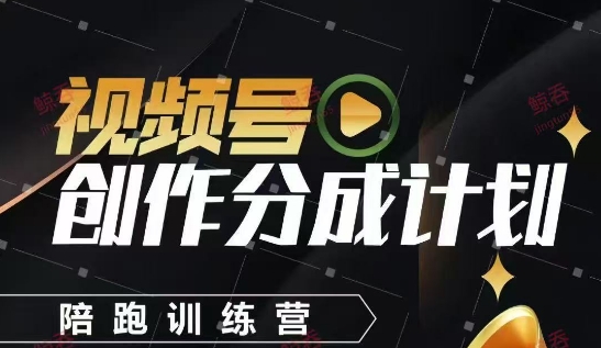 视频号创作分成计划陪跑训练营，手把手教会你如何制作视频，细水长流型项目-资源V站