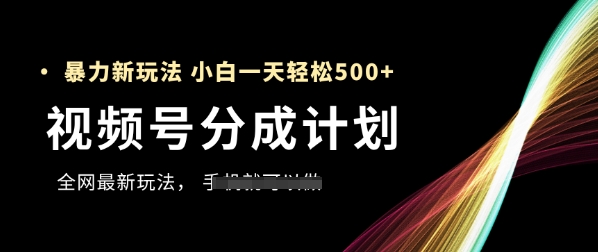 视频号分成计划，全网最暴力玩法，新手一天也能轻松5张+-资源V站