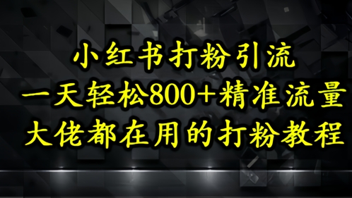 小红书打粉引流，一天轻松500+精准流量，大佬都在用的打粉教程-资源V站