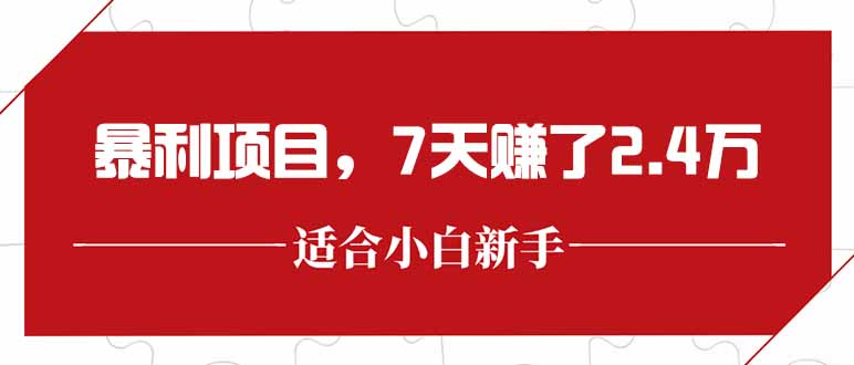 最新暴利项目，每单收益轻松在300以上，7天赚了2.4万-资源V站