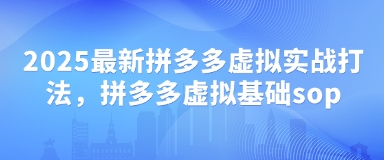 2025最新拼多多虚拟实战打法，拼多多虚拟基础sop-资源V站