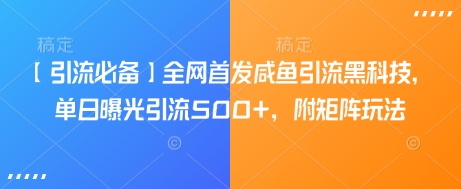 【引流必备】全网首发咸鱼引流黑科技，单日曝光引流500+，附矩阵玩法【揭秘】-资源V站