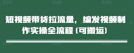 短视频带货拉流量，编发视频制作实操全流程(可搬运)-资源V站