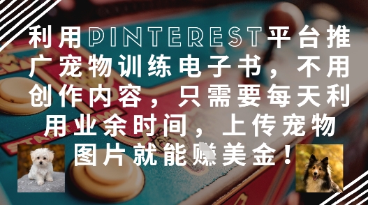 利用Pinterest平台推广宠物训练电子书，不用创作内容，只需要每天利用业余时间，上传宠物图片就能挣美金!-资源V站