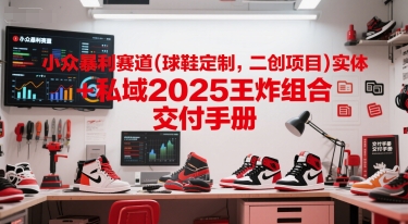 小众暴利赛道(球鞋定制，二创项目)实体+私域2025王炸组合  交付手册-资源V站