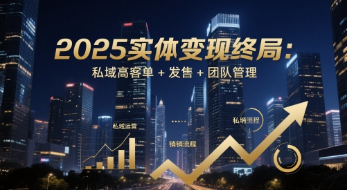 2025实体变现终局：私域高客单+发售+团队管理-资源V站