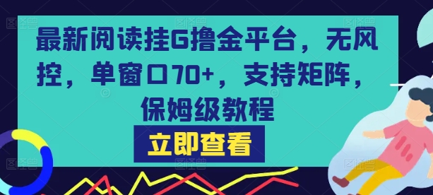 最新阅读挂G撸金平台，无风控，单窗口70+，支持矩阵，保姆级教程【揭秘】-天行资源库