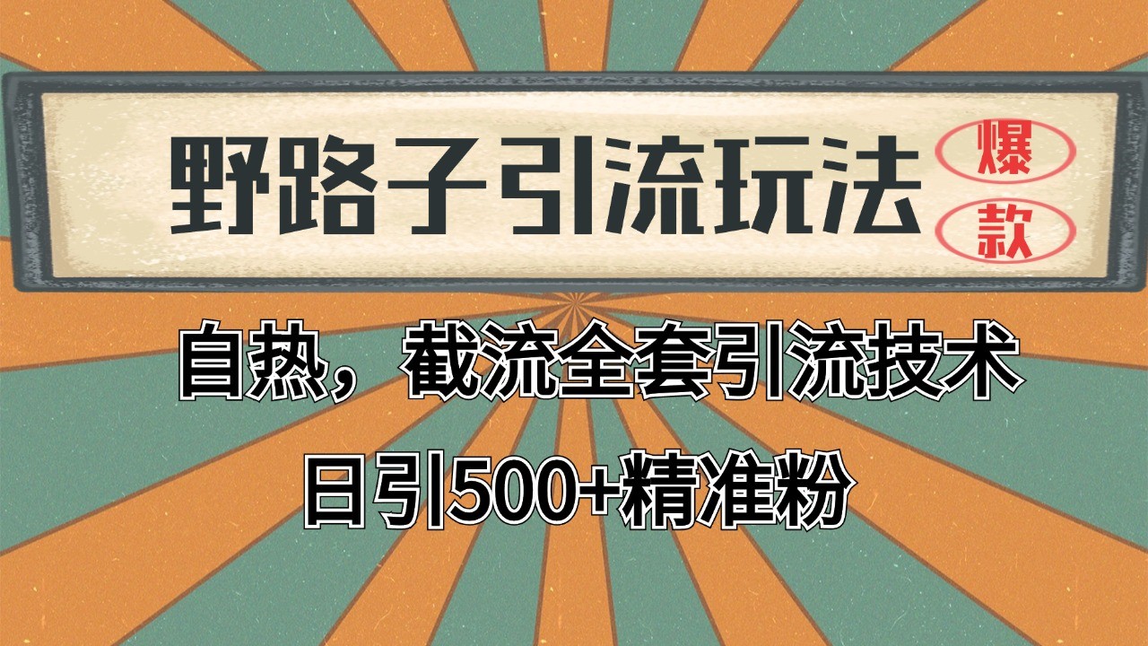 2024首发野路子引流玩法截流自热全平台打法，全自动引流【日引2000+精准客户】-资源V站