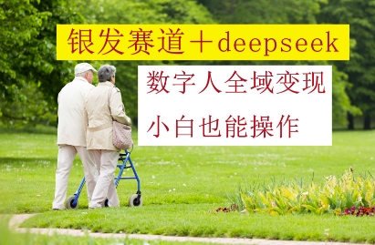 银发赛道+deepseek数字人全域变现，小白也能操作-资源V站