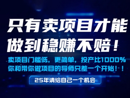只有卖项目才能做到稳挣不赔，门槛低，更简单，你也可以年入百个W【揭秘】-资源V站
