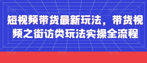 短视频带货最新玩法，带货视频之街访类玩法实操全流程-资源V站