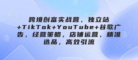 跨境创富实战营，独立站+TikTok+YouTube+谷歌广告，经营策略，店铺运营，精准选品，高效引流-资源V站