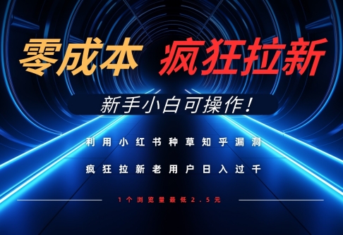 利用小红书种草知乎漏洞，零成本疯狂拉新日入数张，新手小白可操作-资源V站