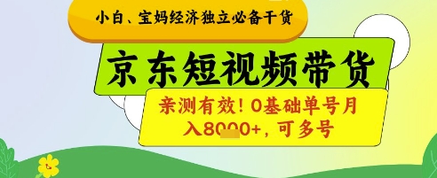 小白宝妈经济独立必备干货，京东短视频带货，亲测有效!0基础单号月入8k+，可多号【揭秘】-资源V站