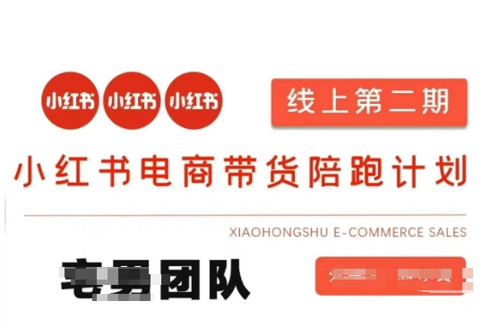 小红书电商带货课2期，月利润20个的小红书电商的有货源，无货源，虚拟产品，付费投流等整套玩法-资源V站