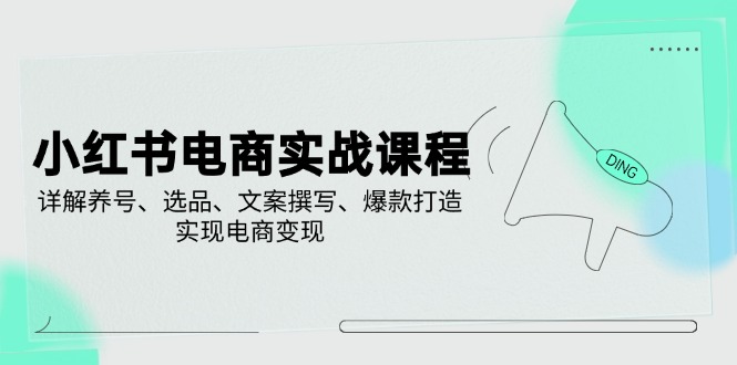 小红书电商实战课程，详解养号、选品、文案撰写、爆款打造，实现电商变现-资源V站