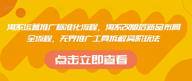 淘系运营推广标准化流程，​淘系改版后新品布局全流程，无界推广工具拆解高阶玩法-资源V站