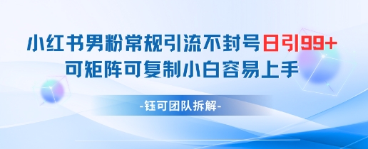 小红书男粉常规引流不封号日引99+变现简单 可矩阵可复制小白容易上手-资源V站