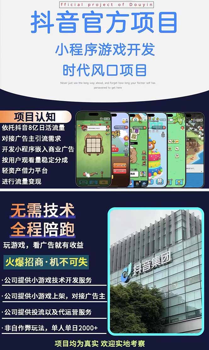 图片[1]-2025最热抖音官方项目 Ai时代风口项目小程序游戏开发 实测单个游戏日收…-资源V站