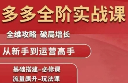 拼多多全阶实战课程，全维攻略，破局增长，从新手到运营高手-资源V站