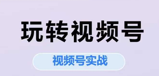 玩转视频号，视频号实战系列课-资源V站