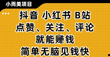 小而美的项目，抖音小红书B站视频点赞、关注、评论就能挣钱，简单无脑立见收益，妥妥的零撸项目【揭秘】-资源V站