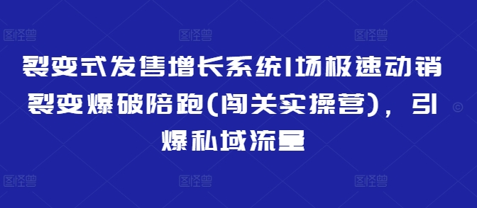 裂变式发售增长系统1场极速动销裂变爆破陪跑(闯关实操营)，引爆私域流量-资源V站