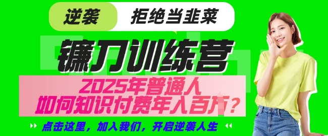 【网创项目终点站-镰刀训练营超级IP合伙人】25年普通人如何通过知识付费实现逆袭【揭秘】-资源V站