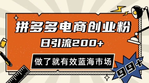拼多多引流电商创业粉，日引200+，可矩阵放大，做了就有效【揭秘】-资源V站