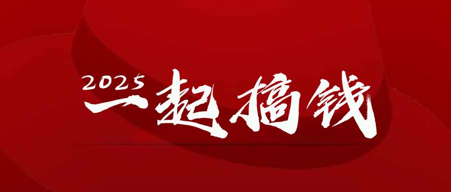 2025年，请“不择手段”去搞钱!-资源V站