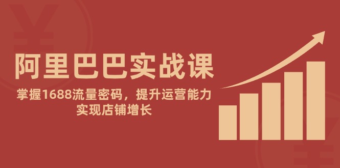 阿里巴巴实战课：掌握1688流量密码，提升运营能力，实现店铺增长-资源V站