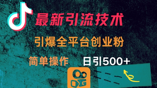 最新引流方法，引爆全平台的一个创业粉，简单操作日引300+-资源V站