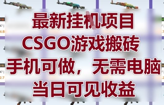最新挂G项目，CSGO游戏搬砖，手机可做，无需电脑，当日见收益【揭秘】-资源V站