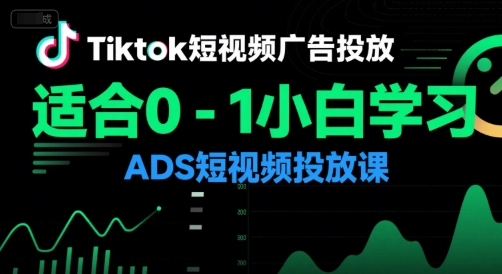 Tiktok短视频广告投放，适合0-1小白学习ADS短视频投放课-资源V站