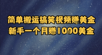 简单搬运搞笑视频挣美金，新手一个月入1k美金-资源V站